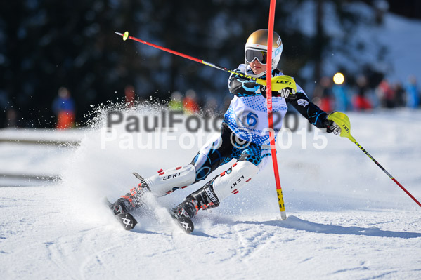 Sechzger Pokal SL 2015