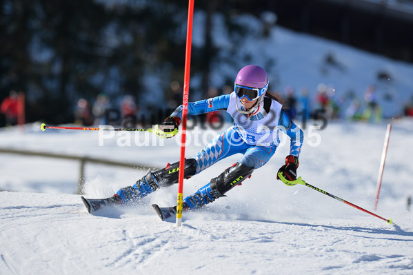 Sechzger Pokal SL 2015