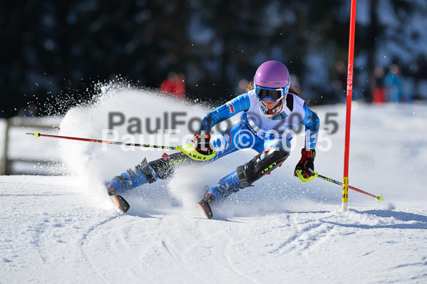 Sechzger Pokal SL 2015