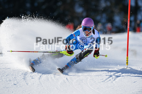 Sechzger Pokal SL 2015