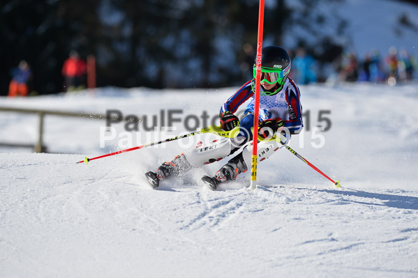Sechzger Pokal SL 2015
