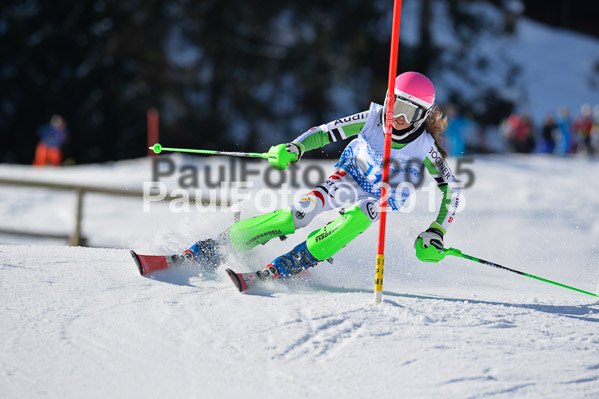 Sechzger Pokal SL 2015