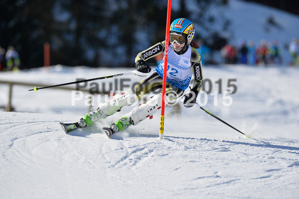 Sechzger Pokal SL 2015