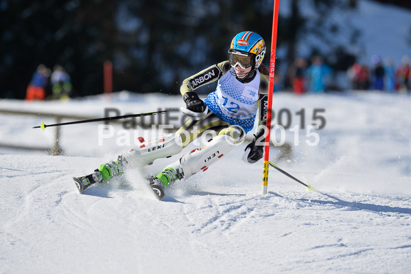Sechzger Pokal SL 2015