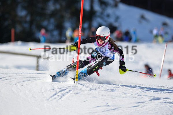 Sechzger Pokal SL 2015