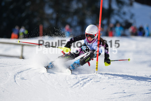 Sechzger Pokal SL 2015