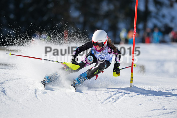 Sechzger Pokal SL 2015