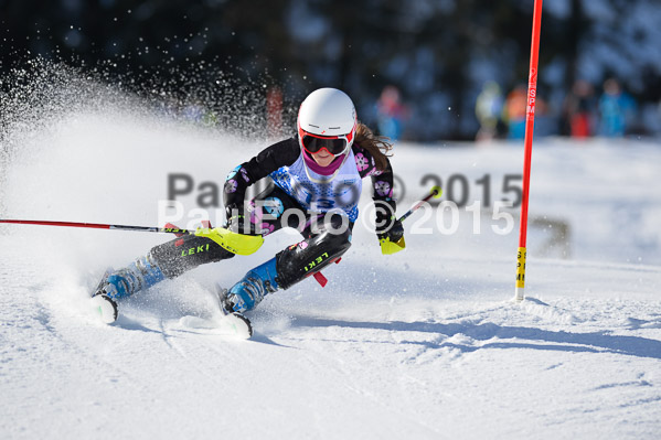 Sechzger Pokal SL 2015