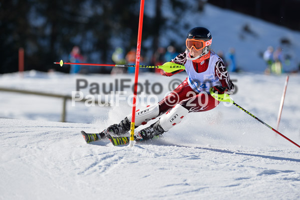 Sechzger Pokal SL 2015