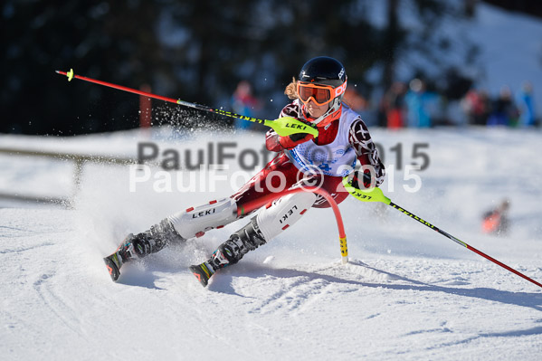 Sechzger Pokal SL 2015