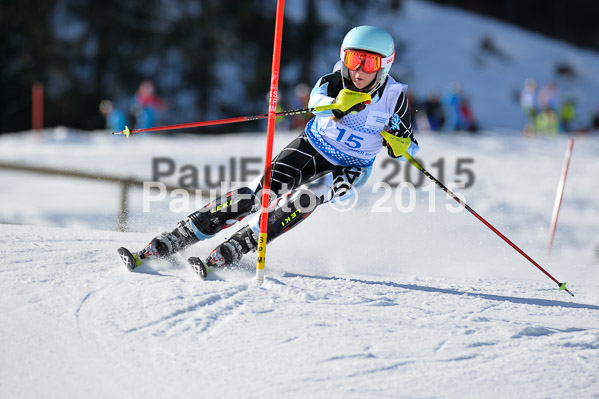 Sechzger Pokal SL 2015