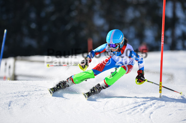 Sechzger Pokal SL 2015