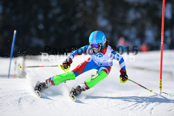 Sechzger Pokal SL 2015