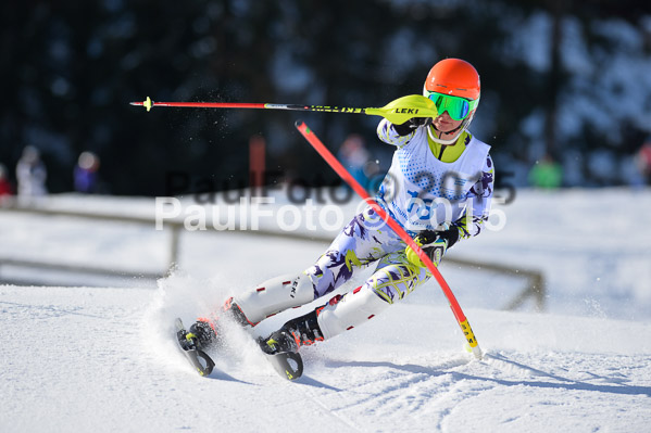 Sechzger Pokal SL 2015