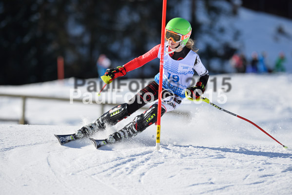 Sechzger Pokal SL 2015