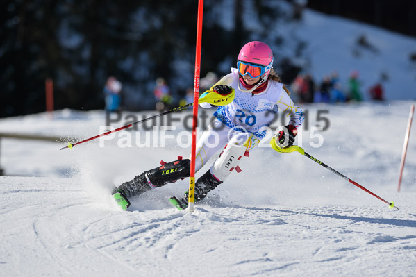 Sechzger Pokal SL 2015