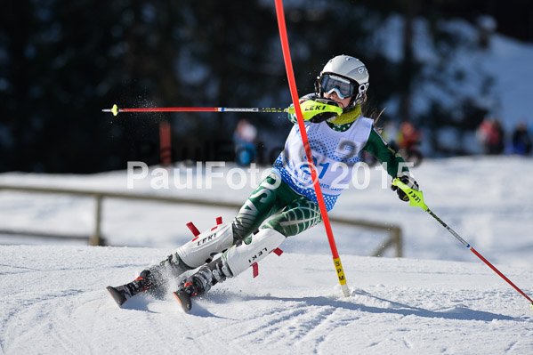 Sechzger Pokal SL 2015