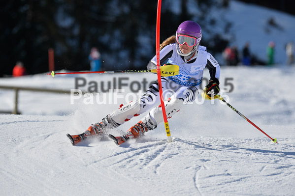 Sechzger Pokal SL 2015