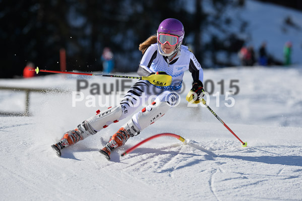 Sechzger Pokal SL 2015
