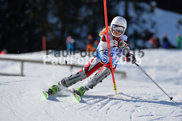 Sechzger Pokal SL 2015