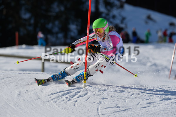 Sechzger Pokal SL 2015