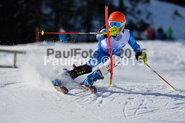 Sechzger Pokal SL 2015