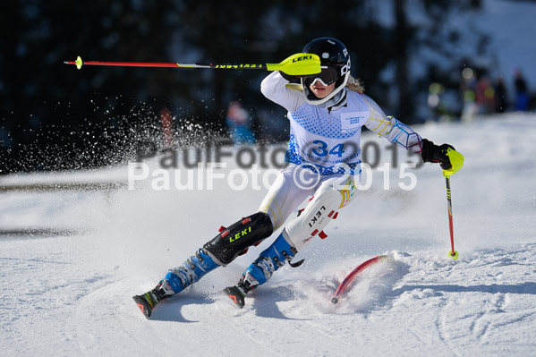 Sechzger Pokal SL 2015