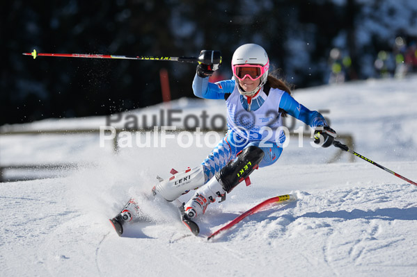 Sechzger Pokal SL 2015