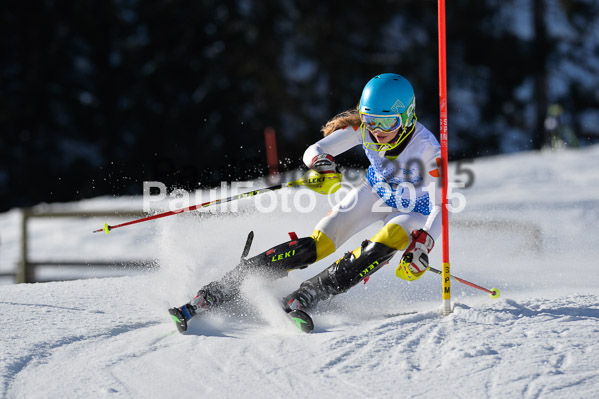 Sechzger Pokal SL 2015