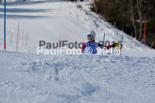 Sechzger Pokal SL 2015