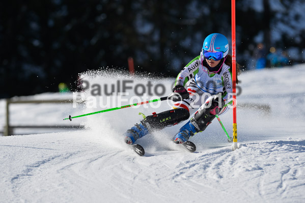 Sechzger Pokal SL 2015