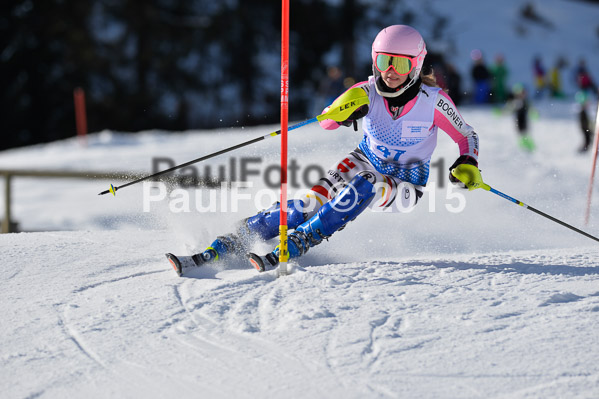 Sechzger Pokal SL 2015