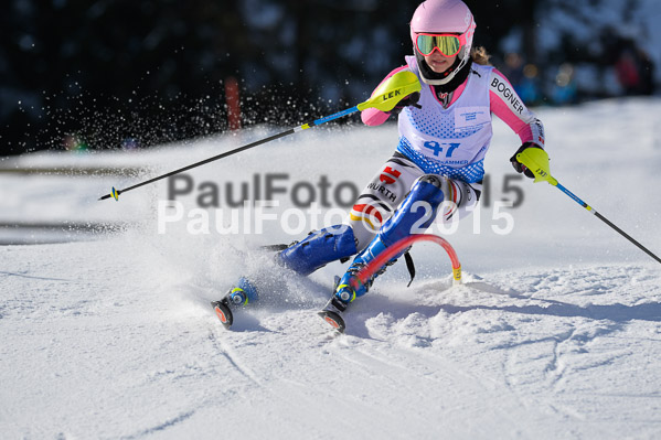 Sechzger Pokal SL 2015