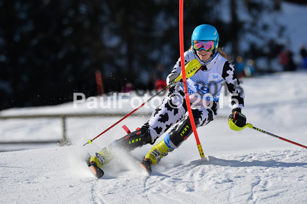 Sechzger Pokal SL 2015