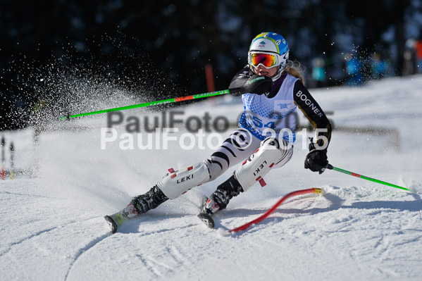 Sechzger Pokal SL 2015