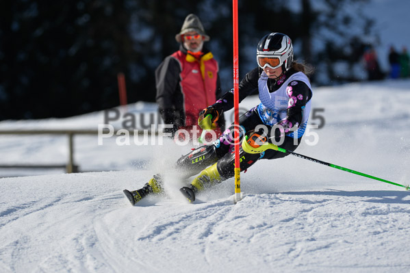 Sechzger Pokal SL 2015