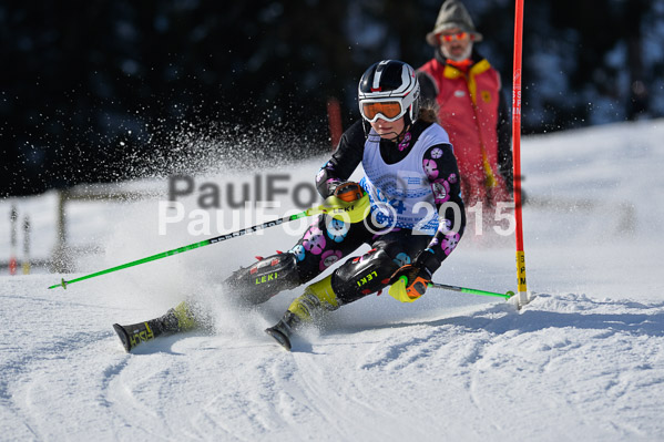 Sechzger Pokal SL 2015