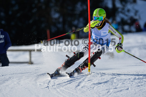 Sechzger Pokal SL 2015