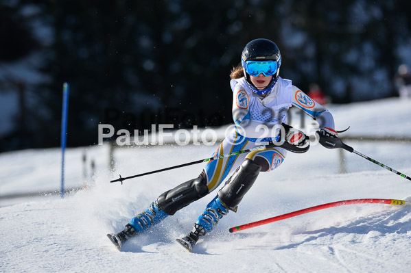 Sechzger Pokal SL 2015