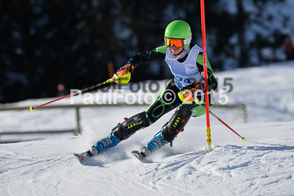 Sechzger Pokal SL 2015