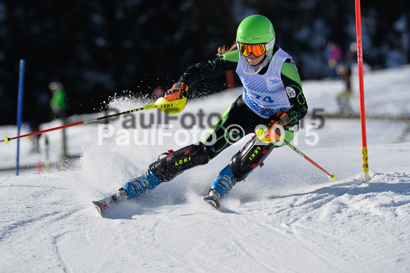 Sechzger Pokal SL 2015