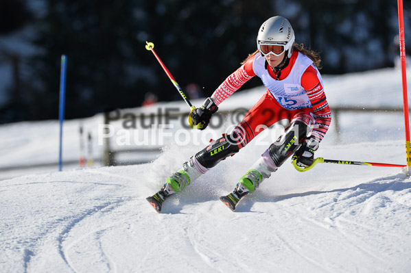 Sechzger Pokal SL 2015