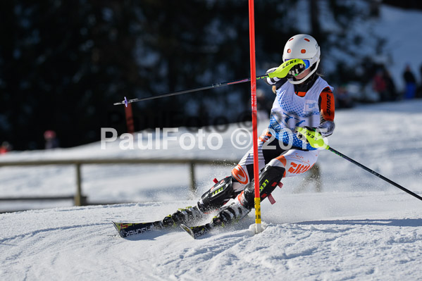 Sechzger Pokal SL 2015