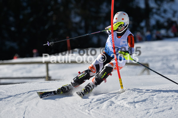 Sechzger Pokal SL 2015