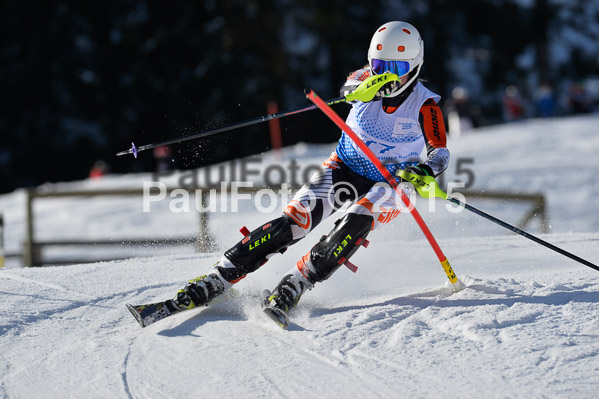Sechzger Pokal SL 2015