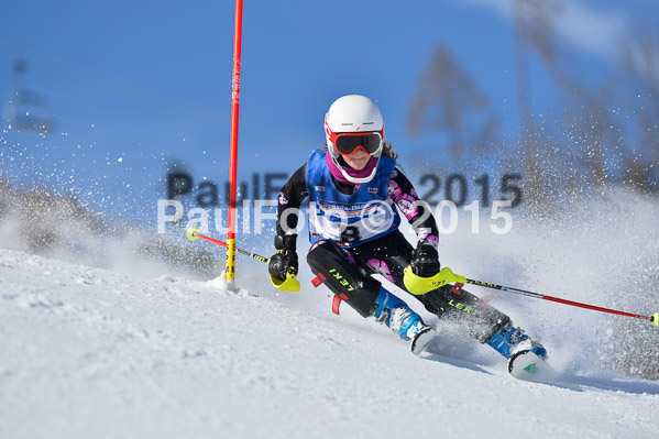 Sechzger Pokal SL 2015