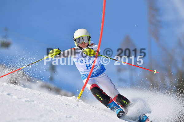 Sechzger Pokal SL 2015
