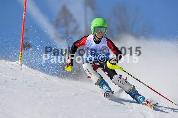 Sechzger Pokal SL 2015