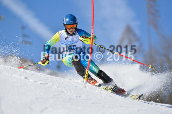 Sechzger Pokal SL 2015
