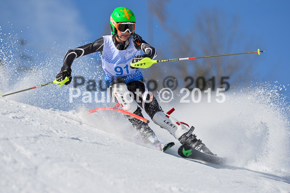 Sechzger Pokal SL 2015